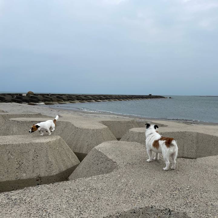 2ee5912a f7d1 4642 badf 7bcec539df75 1650671920277