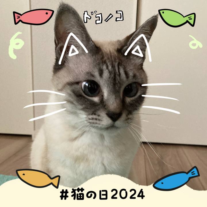 2ee59601 8440 4be0 95f9 342b18a1b7c5 1708558164114