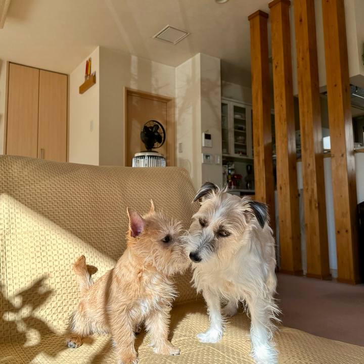 2ee5af4e 8b39 4cbd 9e28 841da8c67a60 1706267198745