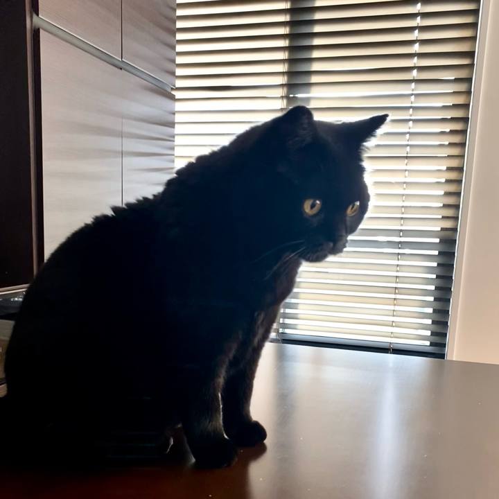 2ee5bd1b 5632 4923 a5f6 4187ecfddb4c 1767073828328