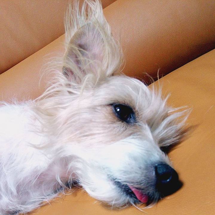 2ee5cf00 65be 4356 835a 0b7156d995f1 1584880942546