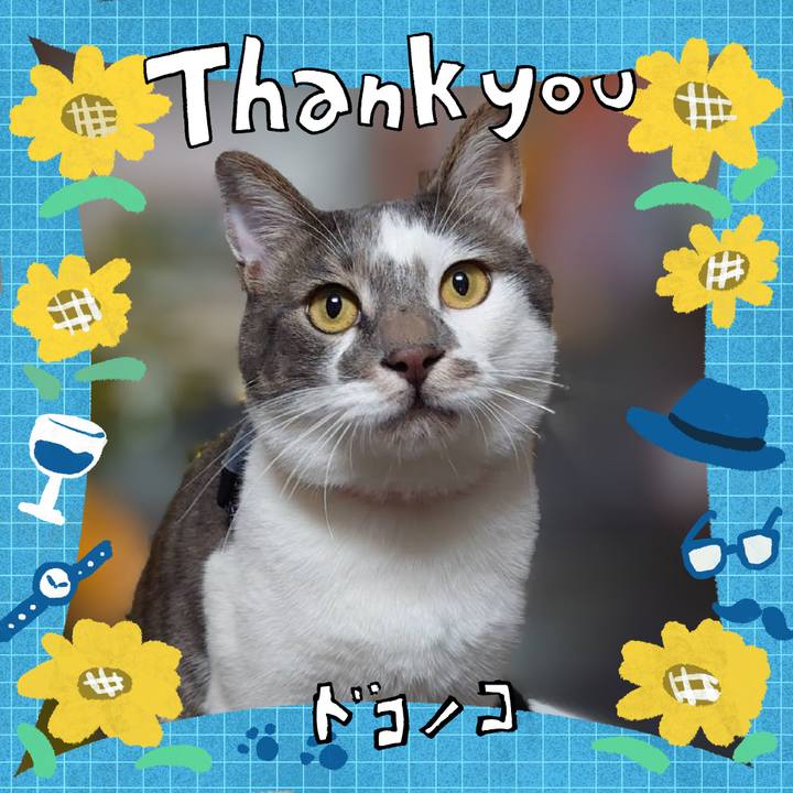 2ee5dbd6 76cc 4767 a6bc e0a0d021f0f4 1718505998703