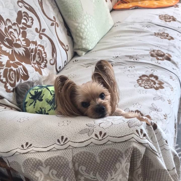 2ee5f1e5 4bf9 442b a793 e4f7af96b6ee 1583662467963