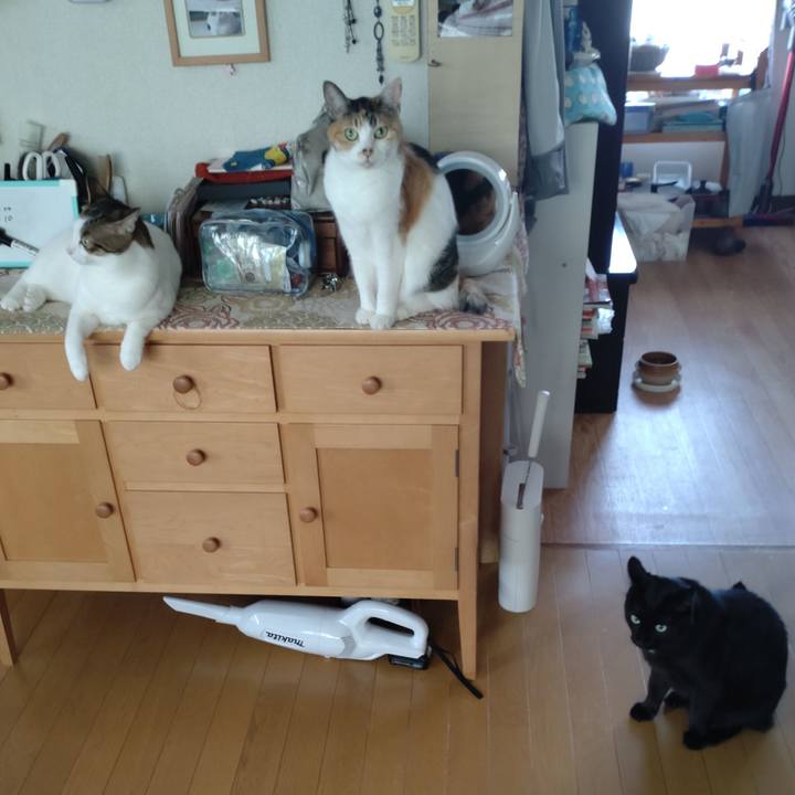 2ee6297a a6c8 4ba7 b68e ba9c3ff1f9cd 1695447671290