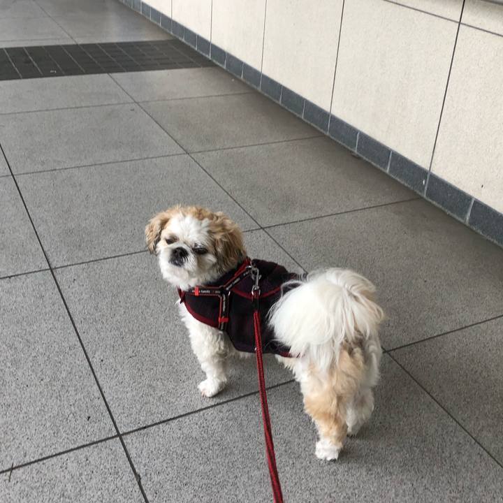 2ee64178 caa2 4ad4 a0d0 6f5faa100bce 1571607852010