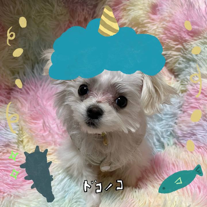 2ee67eb5 4638 4895 a371 08df8f03823a 1706941096535