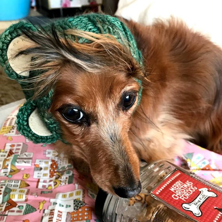 2ee68481 8926 42d6 b368 f78f94b98479 1617532053013