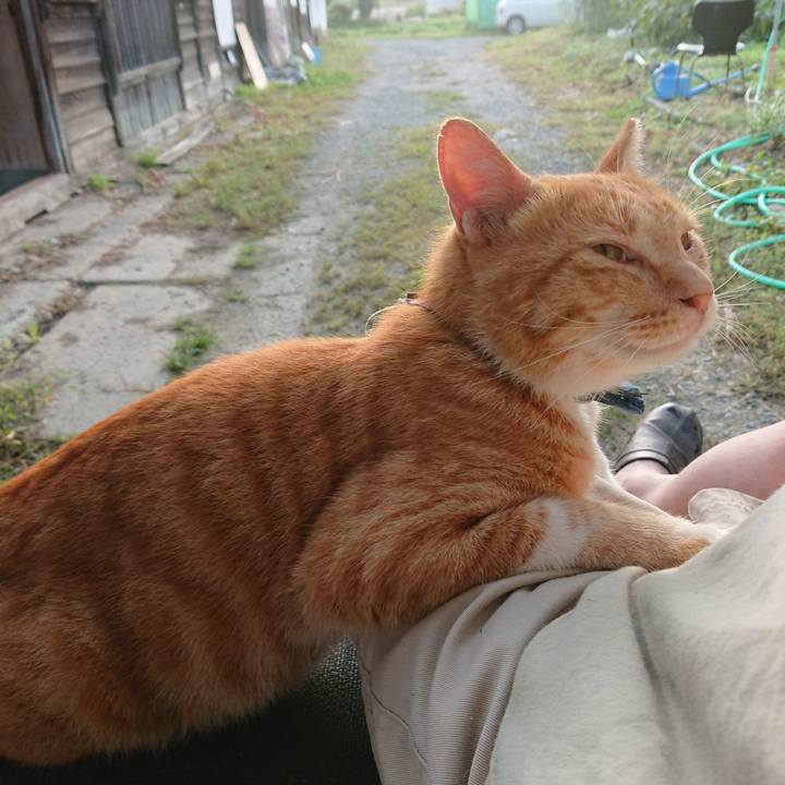 2ee694b7 0c54 47a2 984f bceeb0d78b33 1567806971174