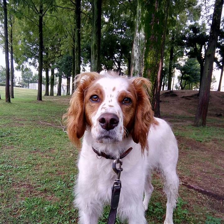 2ee6ae5d 1771 4acc b16f 0e5ad5f6a538 1508229158839