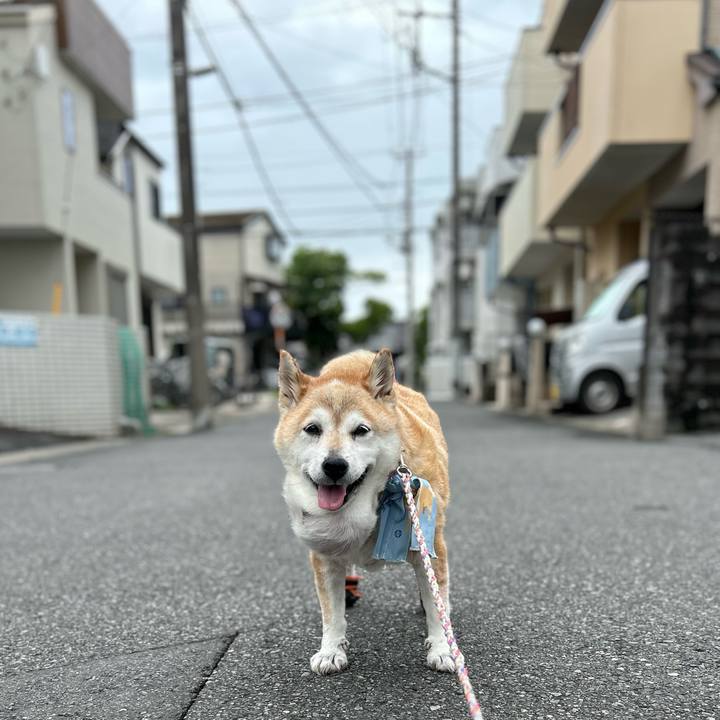 2ee6eb80 5382 428d a3b6 a47fa0544485 1754097040869