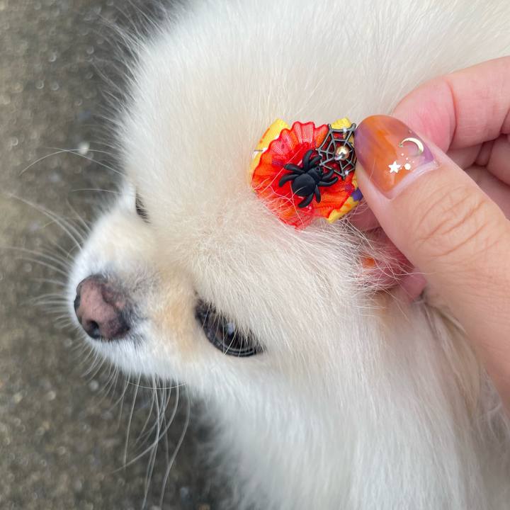 2ee7329c c072 47b4 b520 534567c07031 1665361020922