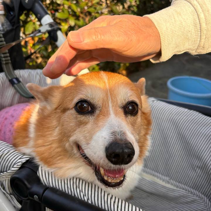 2ee735a2 4b88 4495 a0b8 b9473c4c86d3 1767836926347