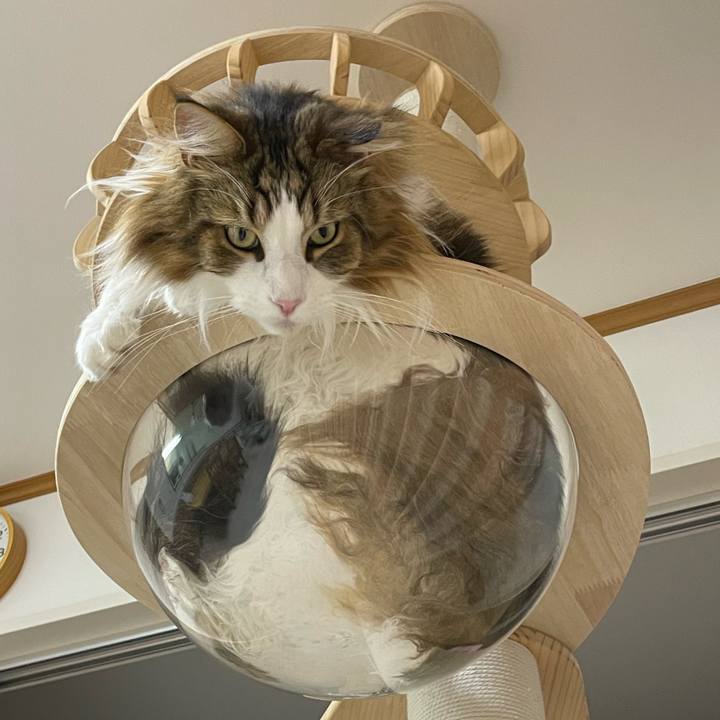 2ee76682 1cd2 4fff b466 baba455fda3d 1685531853075