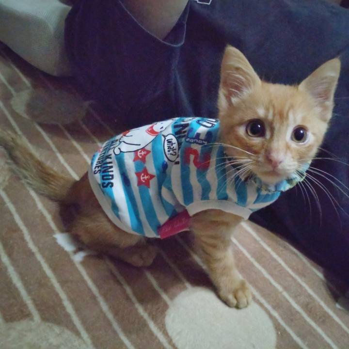 2ee7704a 9a20 4c41 b5ed c216b38d5424 1670028729987