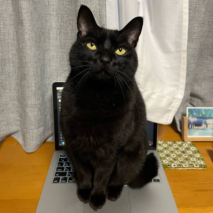 2ee774d8 fb3f 4cb4 af13 b546a188fa30 1705537207048