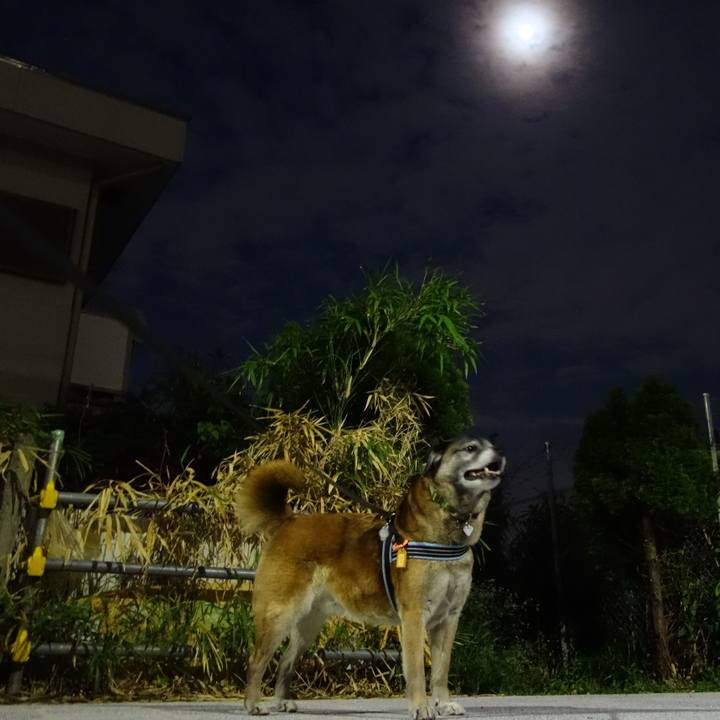 2ee7863d 3bfa 46ce 82dd cd23ca9b7512 1635466588316