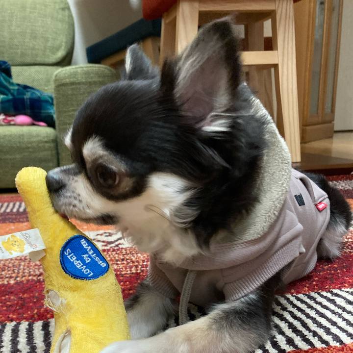 2ee7a86e b896 40cb 922f f0eadca33d5d 1672412589100