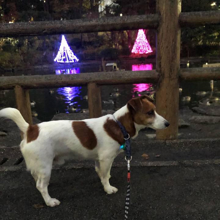 2ee7b783 6908 4fe9 852e 90888a686571 1576587141354