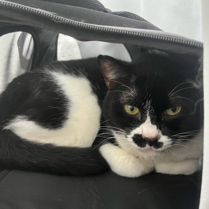 2ee7bb53 9cc1 4f29 a9f1 1f1d689eeda2 1712097286648