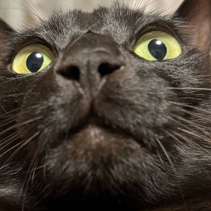 2ee7cc7e b5eb 4d57 bb99 0fbb5e9ce65c 1690634226470