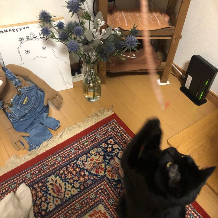 2ee7dd44 9772 4d95 a3b4 42b97cfce786 1556365227902