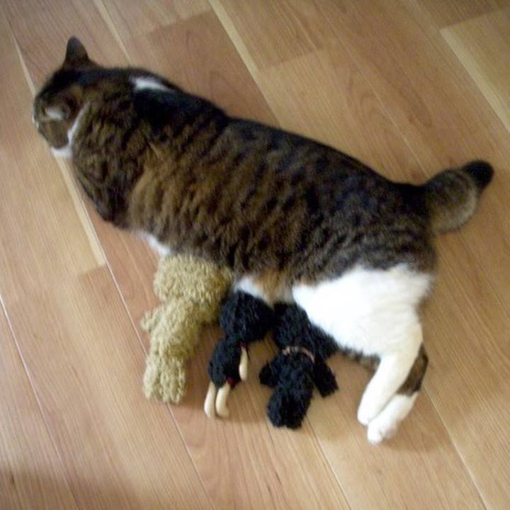 2ee7e914 3825 4ed6 af75 23acb9745519 1560032064970