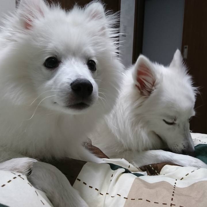 2ee7f626 5519 4284 93de 4ba3dda9211e 1552578049446