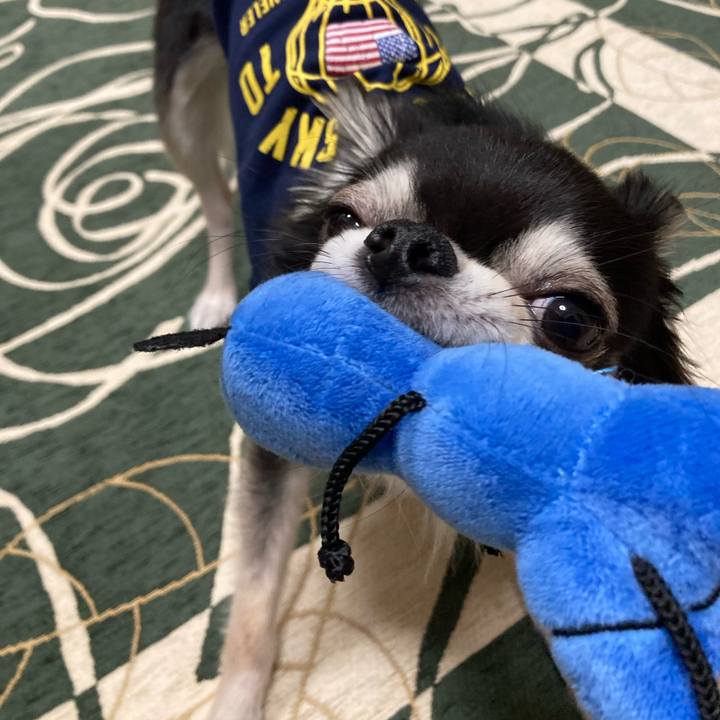 2ee85ae2 f8e2 4de0 86b8 a8e9a6833721 1646489666109