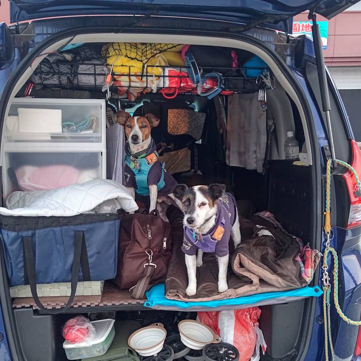 2ee888f7 35c8 4a67 bb59 cd8f32304c48 1699222165276