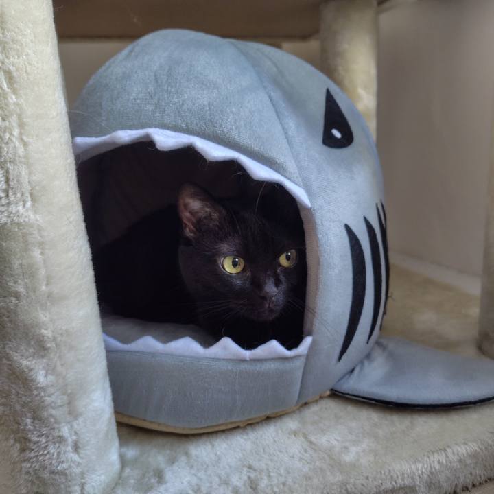 2ee8a1ee c104 49af baad fce3f4194544 1726698432648