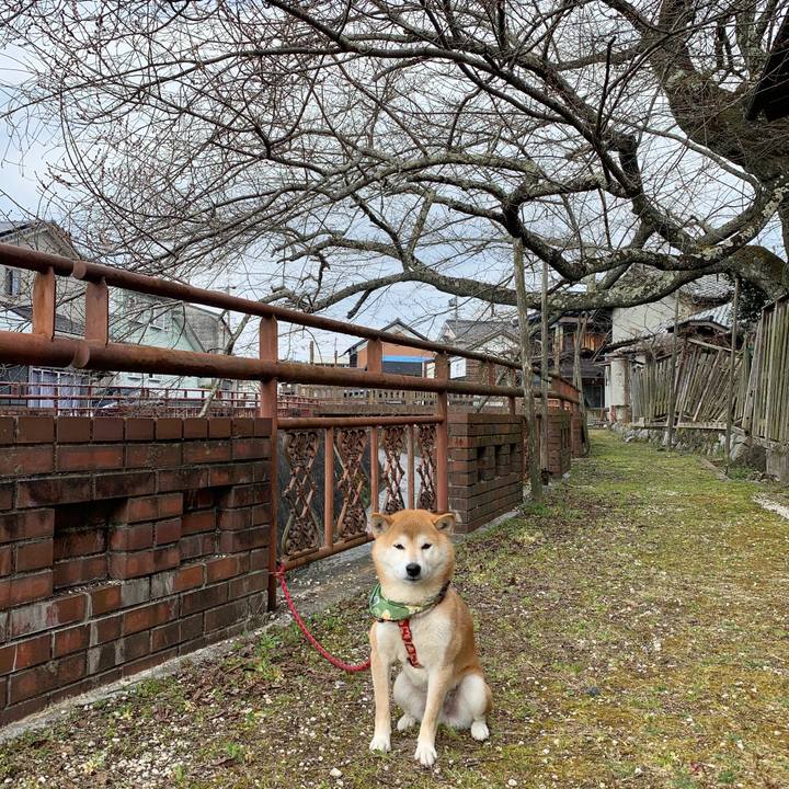 2ee8bcd6 b2e3 4bc7 b09c 7c5945525c35 1584431323209