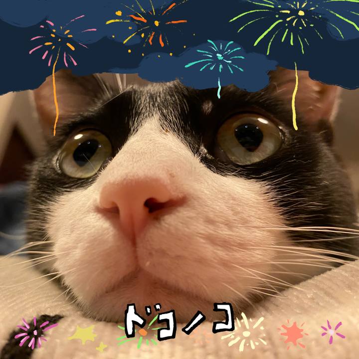 2ee8c50e 559f 4e40 bb5b 4d1916c1250f 1723710345250