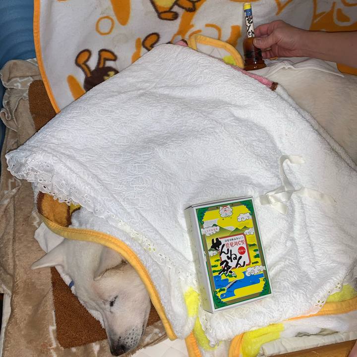 2ee9338f aa85 4bca b0ac 79cecba0b008 1583151163787