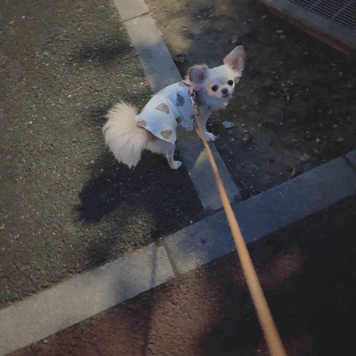 2ee99f59 8d01 4c1f 926f 53390dacba68 1690455843944