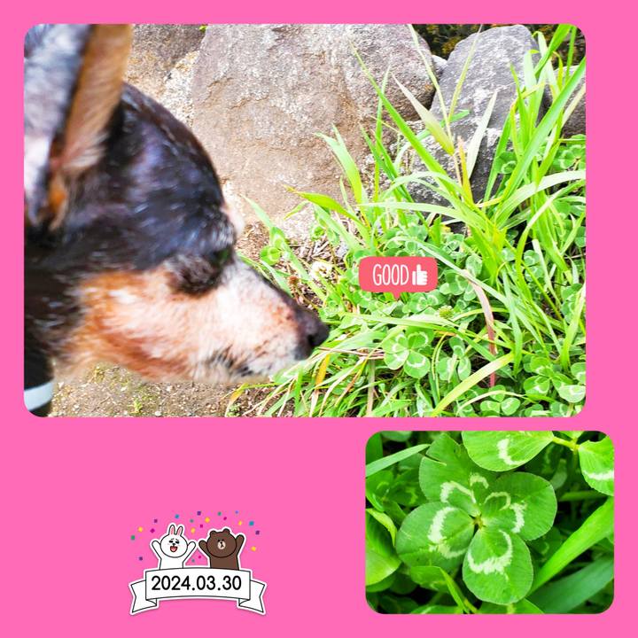 2ee9a377 ad09 4139 b915 cae1488e6a27 1711871741837