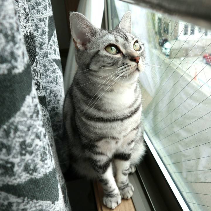 2ee9cb0c f96c 4287 a8ce f037e63cbf71 1586995151211