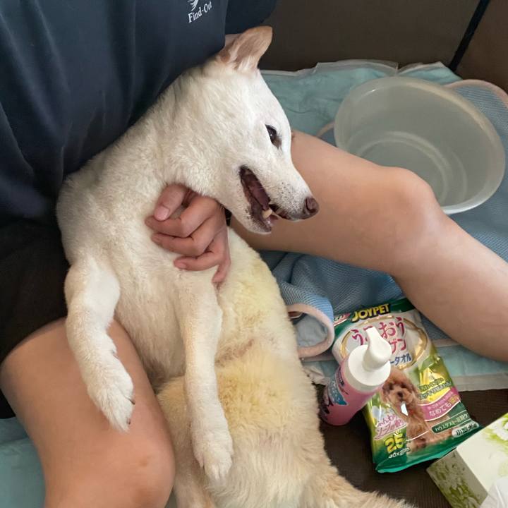 2ee9d7a5 ec1f 42b4 991a c786bf71d68d 1661915023060