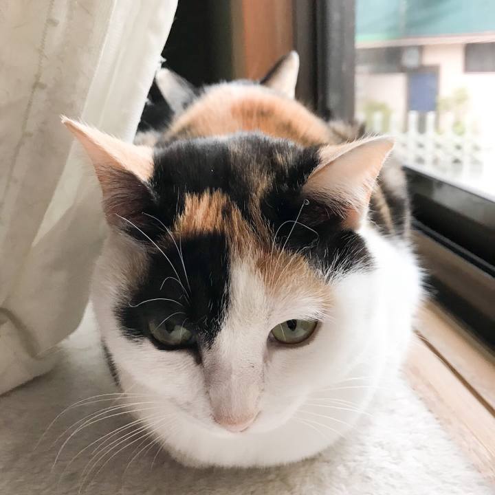 2ee9e77d 08ac 4b0e bbc4 0f674ae3aae6 1523974537542