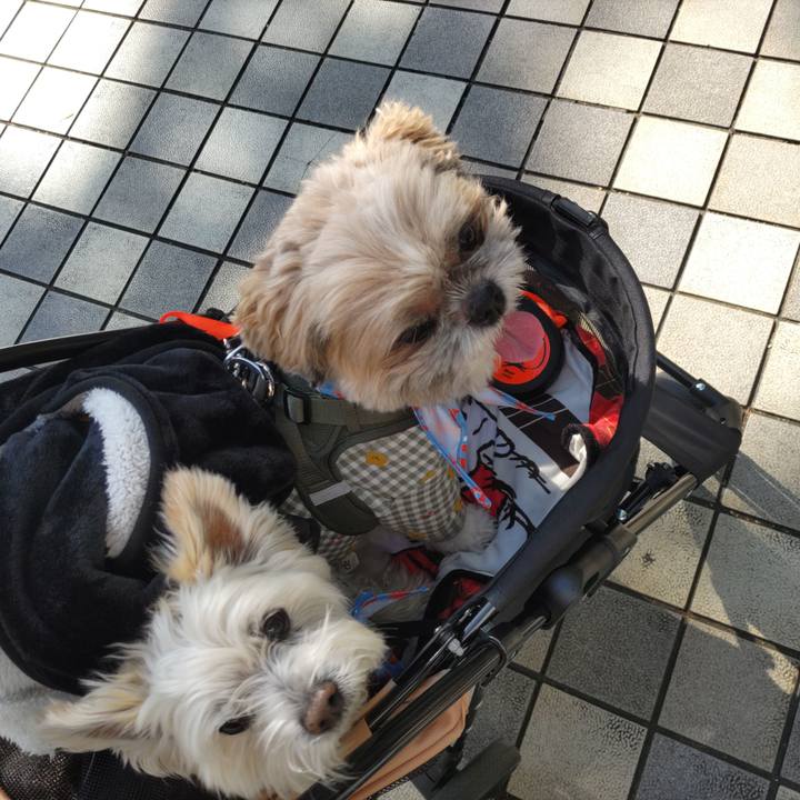 2ee9e906 74de 4911 8e0c 3e10411e3a8c 1761974933102