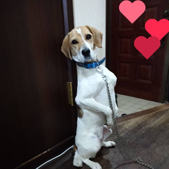 2eea18fe 26d9 4a19 8832 edb1e9d4dfb1 1616673090686