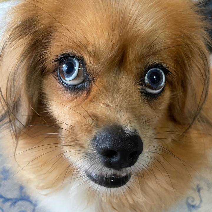 2eea3a6c dc95 4d9d b49d 9e4b06d82fa7 1628982013805