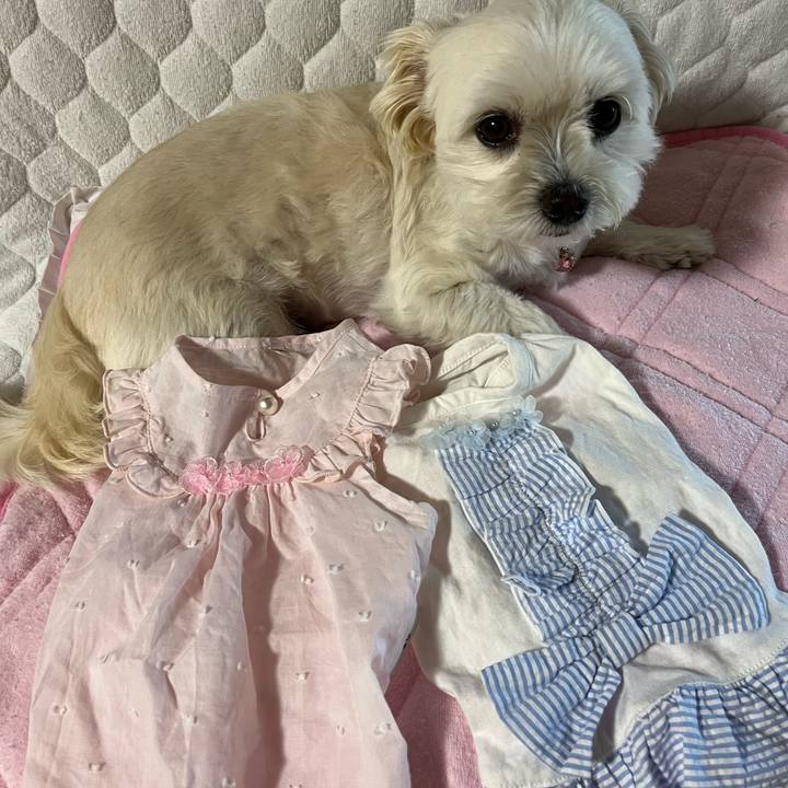 2eea46f5 6961 451a 8479 c2c70ffd4017 1654232664689