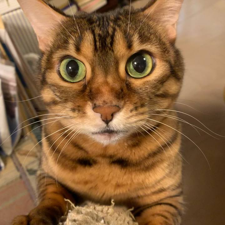 2eea59b0 f55d 4537 8a53 06d4e18d7e59 1609391146183