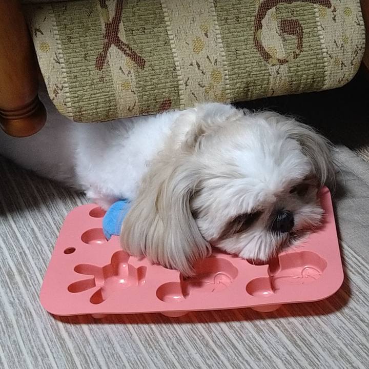 2eeab285 6f9d 4054 84ba cf00762c5fdb 1631966809096