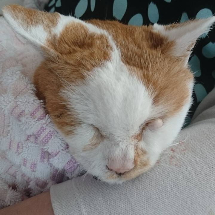 2eeabe9e 7c47 45c2 baf1 954f7b2a6ed6 1656407359008