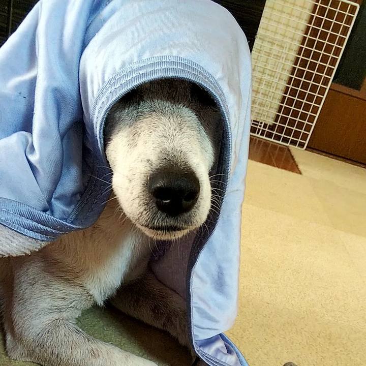 2eeac025 6d8c 422e 92e9 ecd31ba1feb2 1564982923668