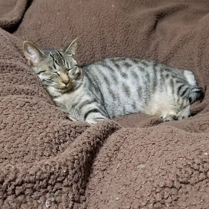 2eeacadd cdaf 478b af72 f6a8ee5bb399 1686668704955