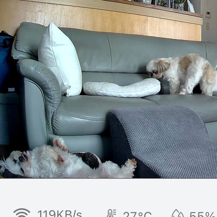 2eeb0a75 f9b1 4308 9bcb 721ed9ddff8c 1749899964146