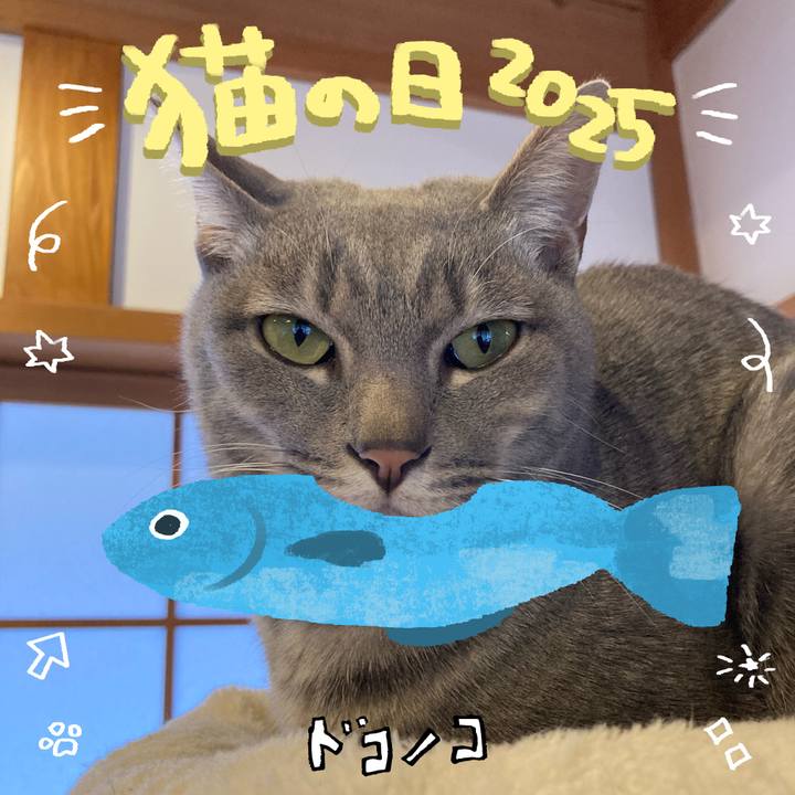 2eeb28a5 faf9 40d6 897d 15660c15a9fb 1740187269575