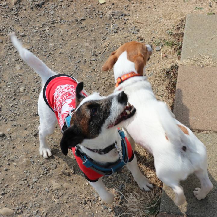 2eeb2f8e c8b9 4f07 8b46 7073a3f38137 1551074599147